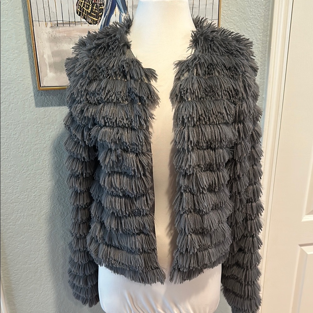 Fashion Nova Sz Medium Gray Teddy Jacket Plush Cropped Design - Picture 2 of 11